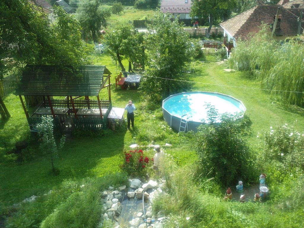 Surasul Muntelui Apartment Dragoslavele Luaran gambar