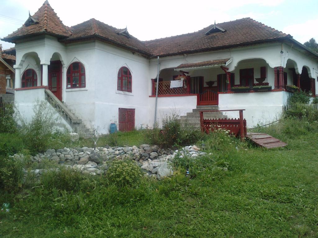 Surasul Muntelui Apartment Dragoslavele Luaran gambar
