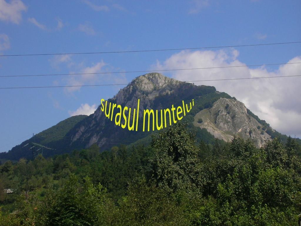 Surasul Muntelui Apartment Dragoslavele Luaran gambar